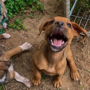 Meet your Posher, Jozo